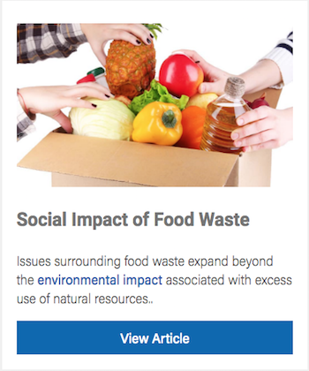 Social Impacts of Food Waste