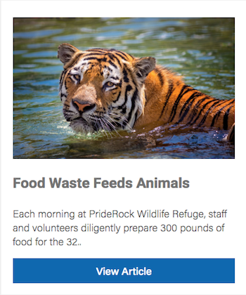 Food Waste Program Feeds Animals